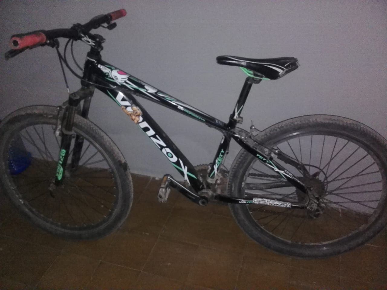 Imagen adicional